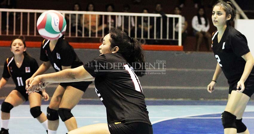 Los Cabos se queda con 4 títulos en voleibol Los Cabos se queda con 4 títulos en voleibol