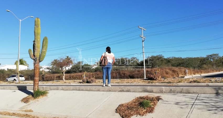 “Para cruzar la Carretera, tenemos que arriesgar la vida”: Sondeo Ciudadano “Para cruzar la Carretera, tenemos que arriesgar la vida”: Sondeo Ciudadano