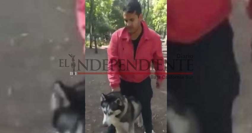 Perro Husky siberiano mata a Pomerania en el Parque Hundido