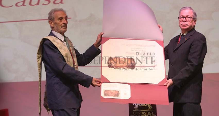 Desarrollo mi trabajo a partir de la contradicción: Vicente Rojo