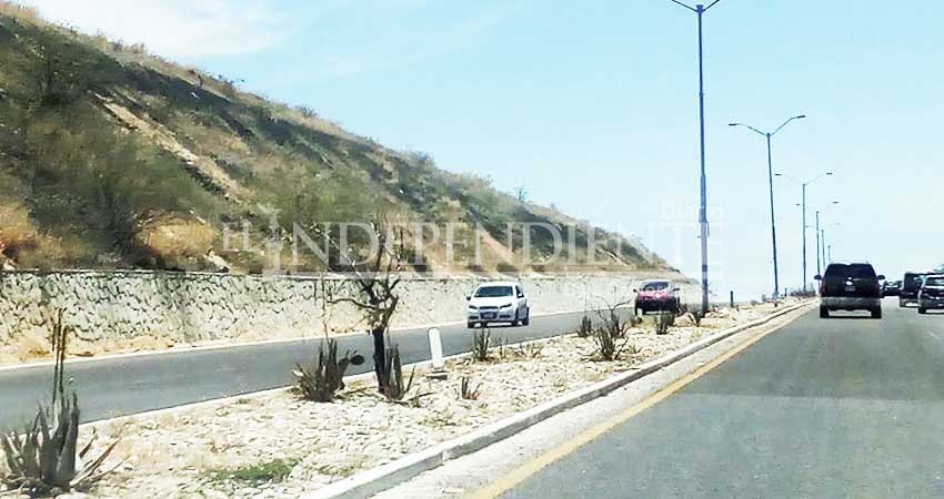 IMPLAN Los Cabos y SEPUIM BCS, de acuerdo en instalar puentes en la Transpeninsular