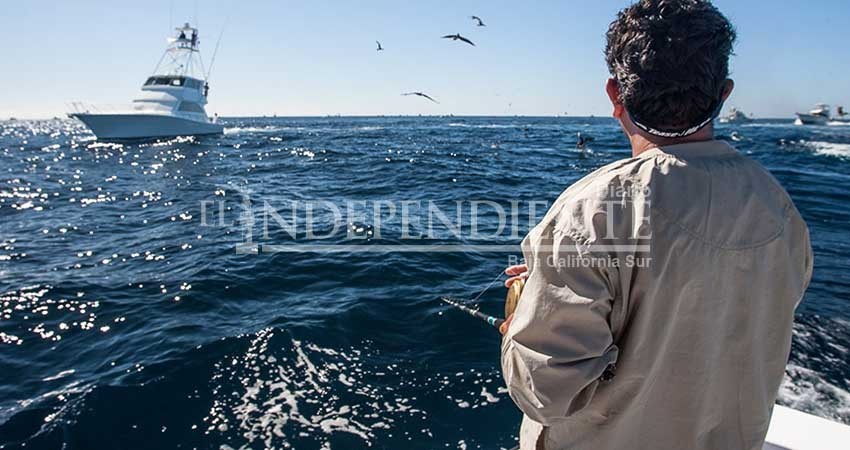 Hacen frente pescadores deportivos de Los Cabos para erradicar pesca ilegal de especies protegidas Hacen frente pescadores deportivos de Los Cabos para erradicar pesca ilegal de especies protegidas
