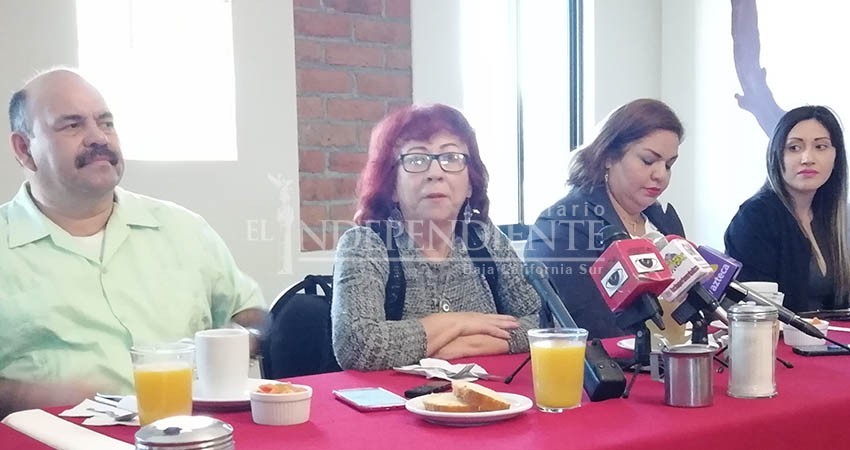 Fue un error no haber disminuido los sueldos en diciembre: Diputada PT Fue un error no haber disminuido los sueldos en diciembre: Diputada PT