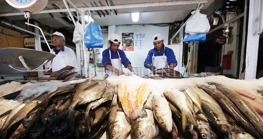 Escases de pescado es normal, BCS sólo consume el 15% de su producción: FEDECOOP Escases de pescado es normal, BCS sólo consume el 15% de su producción: FEDECOOP