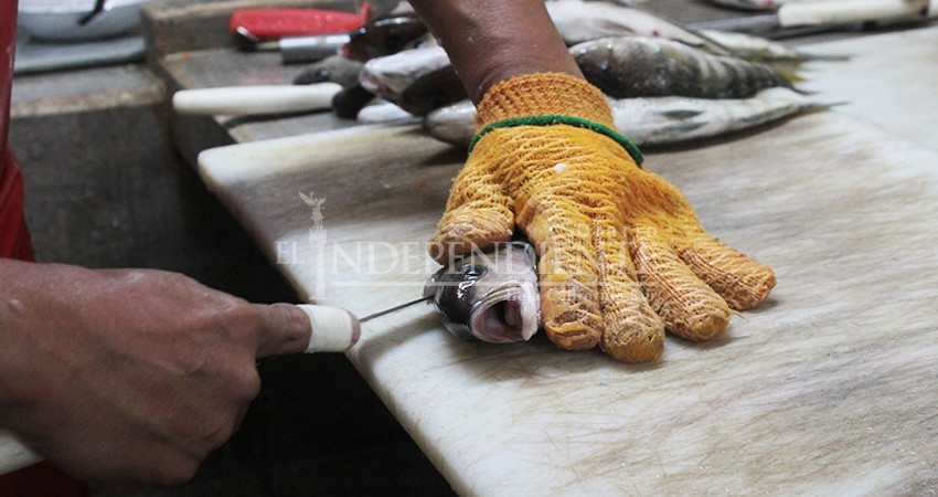 Cuaresma ya no levanta la venta de pescado, exponen comerciantes locales Cuaresma ya no levanta la venta de pescado, exponen comerciantes locales
