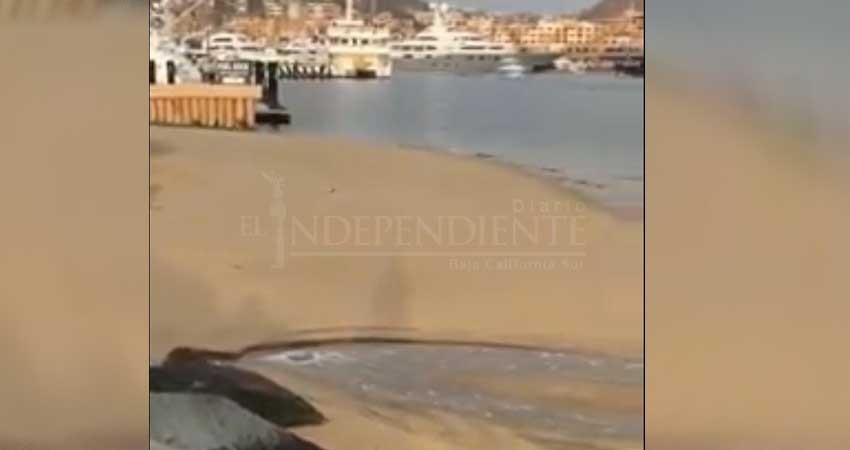 Marea baja descubre desagüe de agua a la playa de marina en CSL Marea baja descubre desagüe de agua a la playa de marina en CSL