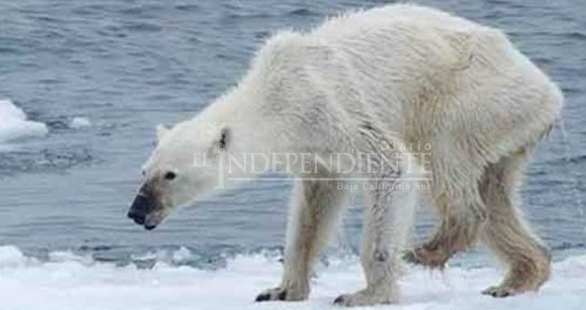 Alertan que el cambio climático es más grave de lo que se cree