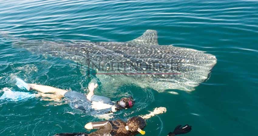 Fortalecerán a La Paz como principal destino turístico ecológico y de aventura en México Fortalecerán a La Paz como principal destino turístico ecológico y de aventura en México