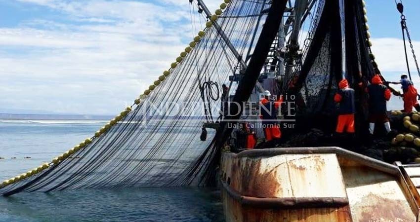 Afectados los pescadores de San Carlos por barcos sardineros de otras entidades