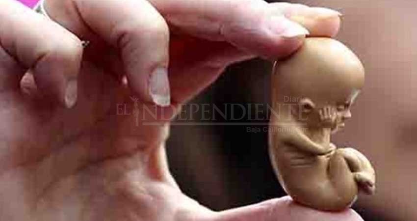 Científico de la UNAM afirma que un embrión no es una persona