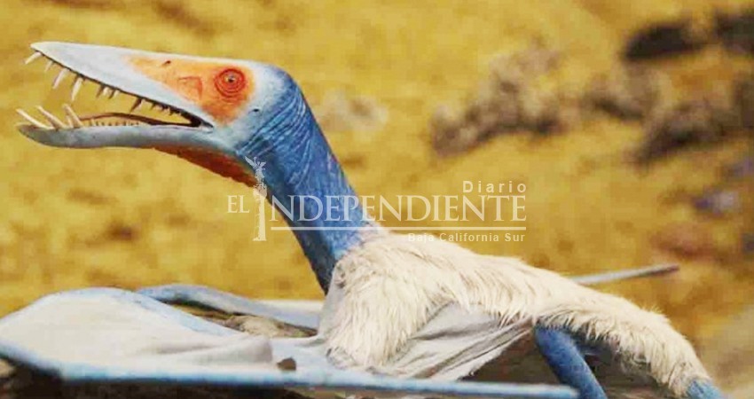 Descubren antiguo fósil de dinosaurio en Cuba