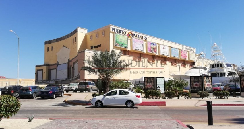 Tendrá que sacar el Oomsapas tubería de drenaje de los terrenos de Puerto Paraíso Tendrá que sacar el Oomsapas tubería de drenaje de los terrenos de Puerto Paraíso