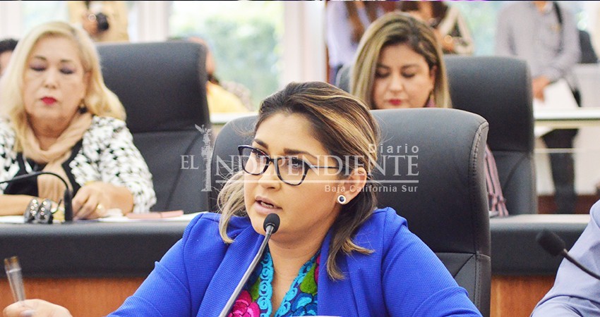 Foro del Frente por la Familia Natural no quebrantaba al estado laico: Dip. Montaño Ruíz