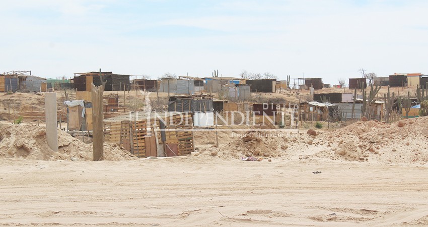 Imparable depredación de flora endémica en invasión Chulavista de CSL Imparable depredación de flora endémica en invasión Chulavista de CSL