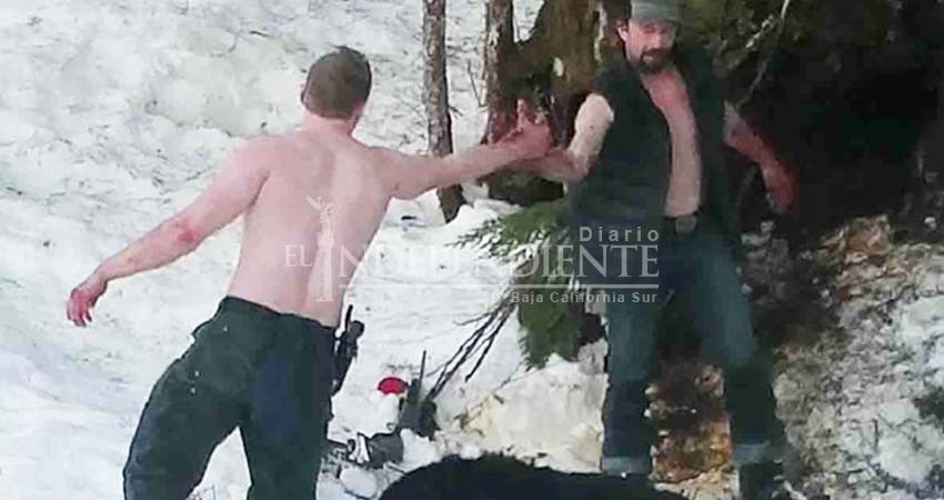 Captan brutal asesinato a una osa y sus crías en Alaska