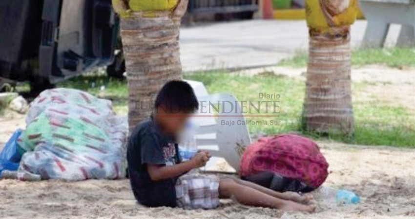 Seguridad del Médano denuncia presencia de niños vendedores ambulantes en la playa Seguridad del Médano denuncia presencia de niños vendedores ambulantes en la playa