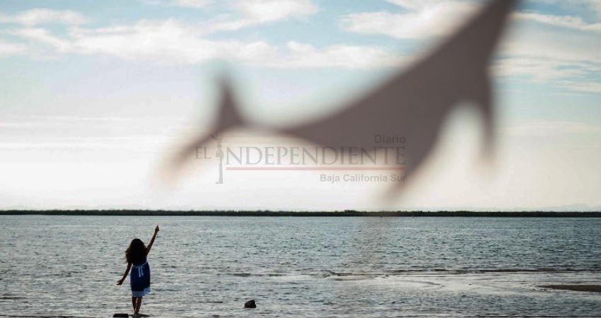 Invitan a participar en el concurso de fotografía “El color de La Paz”