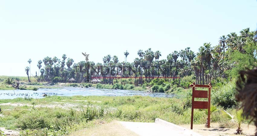 Si visitan el estero, hay que extremar precauciones para evitar incendios, pide Conafor Si visitan el estero, hay que extremar precauciones para evitar incendios, pide Conafor