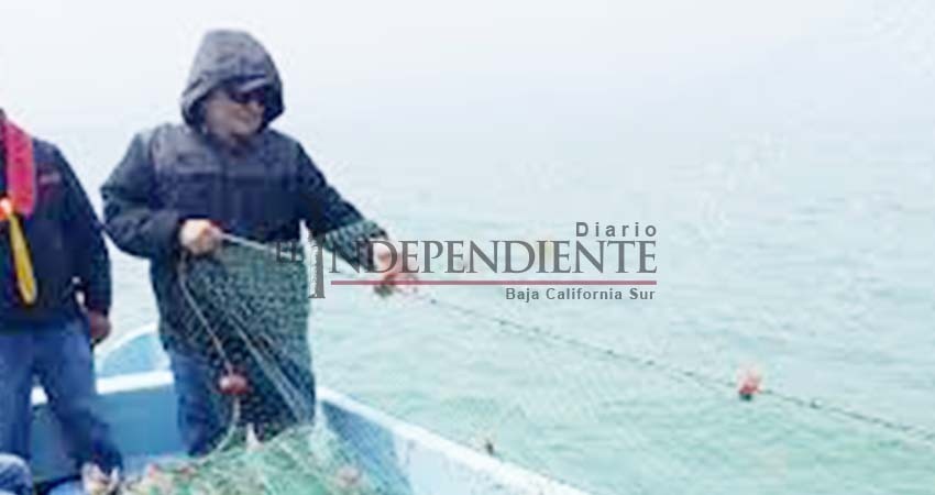 Gobierno estatal no puede afrontar desaparición de inspectores de Conapesca y Profepa: Carlos Mendoza Gobierno estatal no puede afrontar desaparición de inspectores de Conapesca y Profepa: Carlos Mendoza