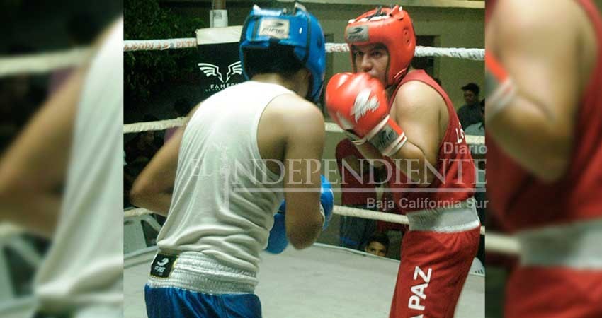 Realizarán función de box “Buscando Ídolos”