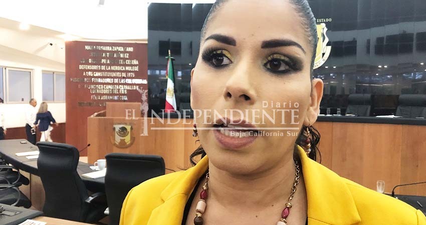 Ya esperábamos resolución que ratificó extinción del PES: Perla Flores Ya esperábamos resolución que ratificó extinción del PES: Perla Flores