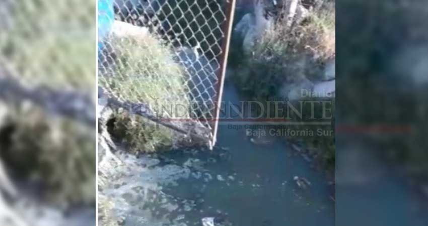 Peligra salud pública por derrames de aguas negras en Cabo San Lucas Peligra salud pública por derrames de aguas negras en Cabo San Lucas