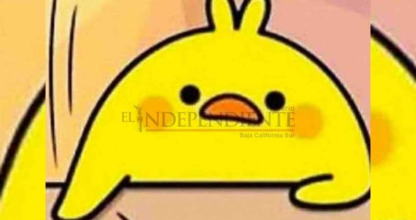 Aquí te explicamos cómo surgió el meme de 'se tenía que decir y se dijo' Aquí te explicamos cómo surgió el meme de 'se tenía que decir y se dijo'