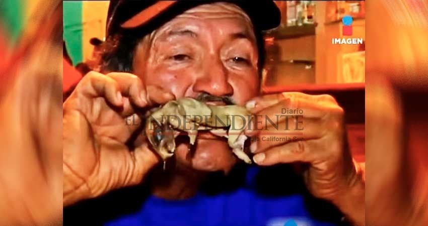Para la anemia y la cruda… un caldo de rata Para la anemia y la cruda… un caldo de rata