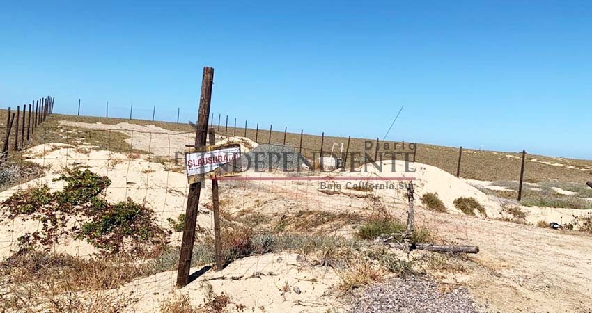Destruyen dunas de Todos Santos para construir casa frente al mar Destruyen dunas de Todos Santos para construir casa frente al mar