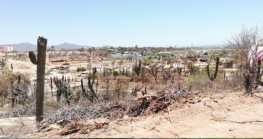 Más de 250 elementos de los tres órdenes de gobierno en vigilan Los Cabos por Semana Santa Más de 250 elementos de los tres órdenes de gobierno en vigilan Los Cabos por Semana Santa