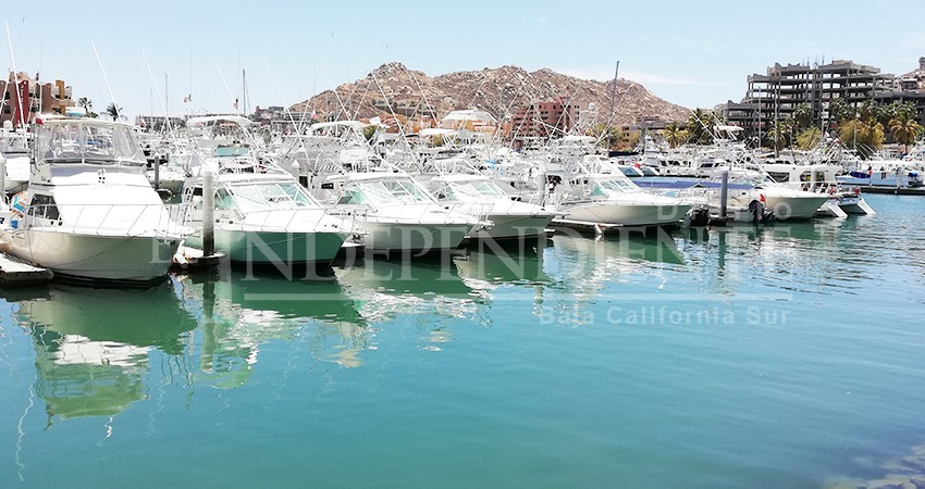 Advierte senadora de la necesidad de poner orden en litoral en BCS para preservar pesca deportiva Advierte senadora de la necesidad de poner orden en litoral en BCS para preservar pesca deportiva