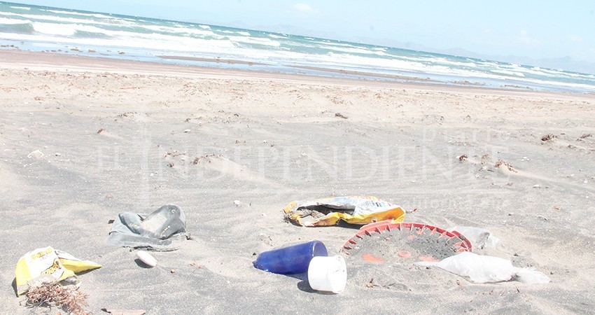 Coepris BCS exhorta a campistas a no contaminar las playas Coepris BCS exhorta a campistas a no contaminar las playas