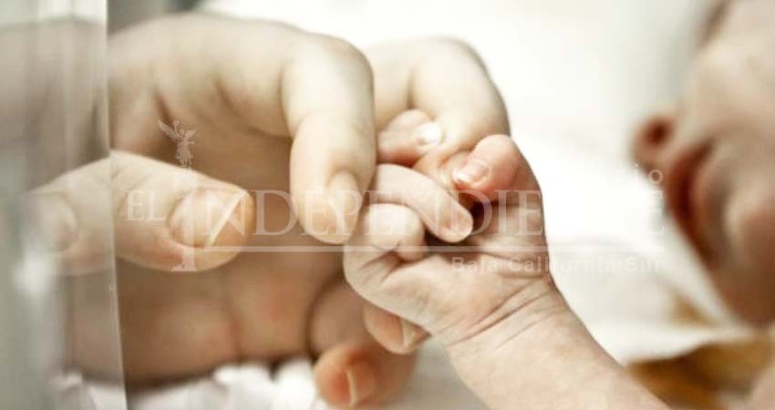 Madre de la menor violada que dio a luz desmiente a la procuradora del menor en BCS Madre de la menor violada que dio a luz desmiente a la procuradora del menor en BCS