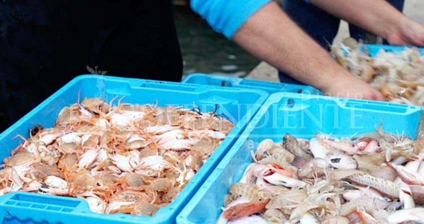 Coepris suspende dos puestos de mariscos en Los Cabos y en La Paz Coepris suspende dos puestos de mariscos en Los Cabos y en La Paz
