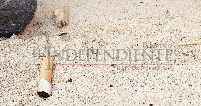 Pide la SSA que vacacionistas no tiren colillas de cigarro en playas en BCS