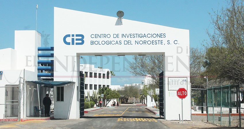 Teme el SUPTACIBNOR ser parte de los despidos de la cuarta transformación Teme el SUPTACIBNOR ser parte de los despidos de la cuarta transformación