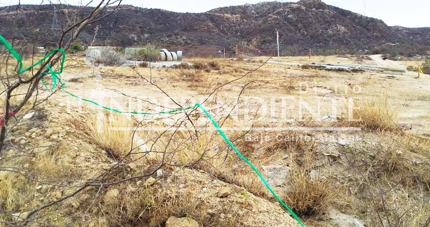 Frenan intento de invasión en colonia Luis Donaldo Colosio de SJC