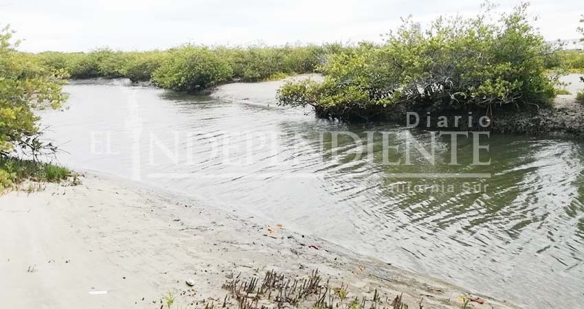 No se envió petición a SEMARNAT para solucionar multa alguna: ZOFEMAT