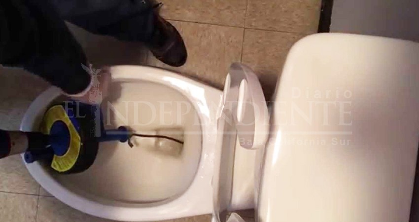 Sería obligatorio usar agua tratada en baños y áreas verdes de BCS Sería obligatorio usar agua tratada en baños y áreas verdes de BCS