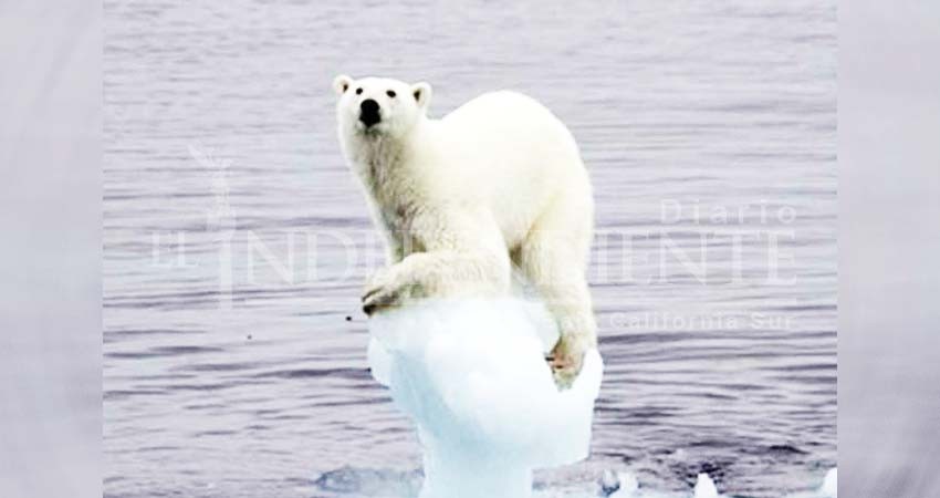 Cambio climático empeora y las soluciones son bajas: ONU