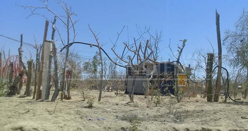 Denuncian ante la PGJE invasiones en el municipio de Los Cabos Denuncian ante la PGJE invasiones en el municipio de Los Cabos
