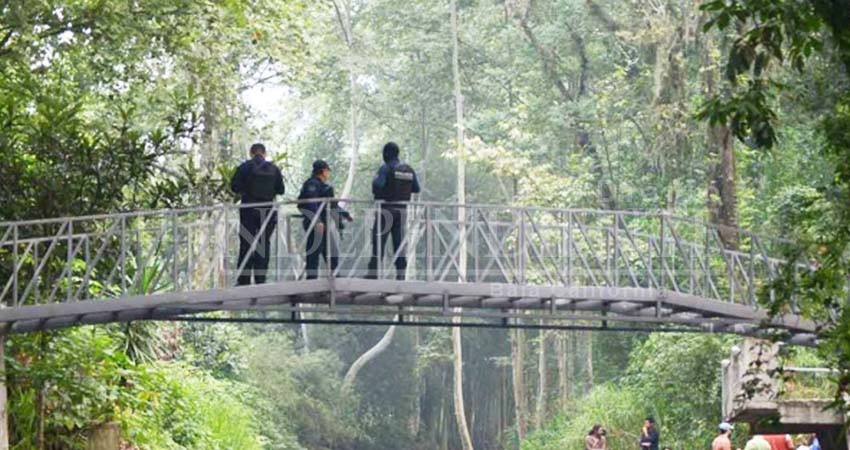 Quien afecte al ambiente será castigado: López Obrador Quien afecte al ambiente será castigado: López Obrador