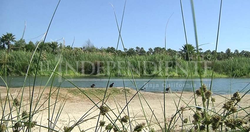 Ayto de Los Cabos debe transparentar toda documentación sobre terrenos y construcciones en y colindantes al Estero