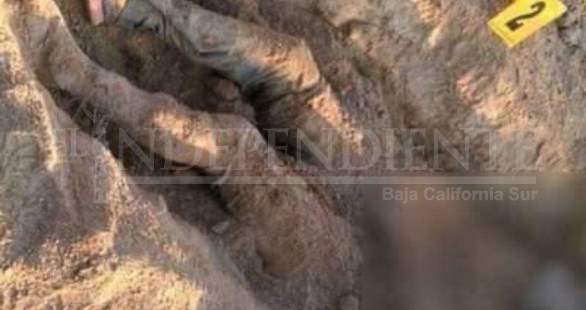 Colectivo -Sin Ellos No- localizó 3 cuerpos en dos fosas clandestinas Colectivo -Sin Ellos No- localizó 3 cuerpos en dos fosas clandestinas