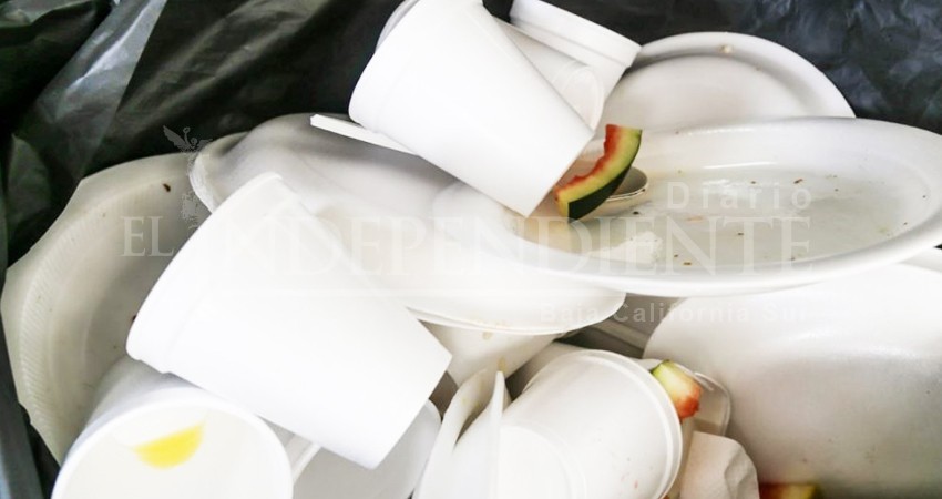 Canirac trabaja en la Norma de Aplicación de la Ley que prohibirá plásticos