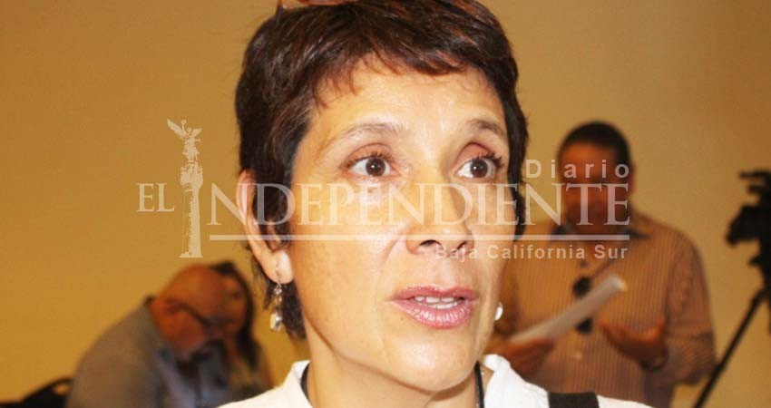 Presentan propuesta de humedales artificiales para limpiar de aguas residuales el Estero Presentan propuesta de humedales artificiales para limpiar de aguas residuales el Estero