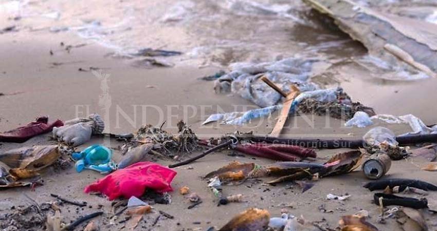 Hasta 2.5 toneladas de basura se sacan en un fin de semana de las playas de La Paz Hasta 2.5 toneladas de basura se sacan en un fin de semana de las playas de La Paz