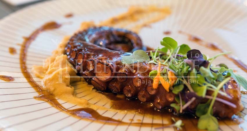 “Sabor a Mar”, una experiencia gastronómica a favor de Espíritu Santo “Sabor a Mar”, una experiencia gastronómica a favor de Espíritu Santo