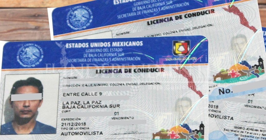 Activistas solicitan aplicación de licencias por puntos en BCS Activistas solicitan aplicación de licencias por puntos en BCS