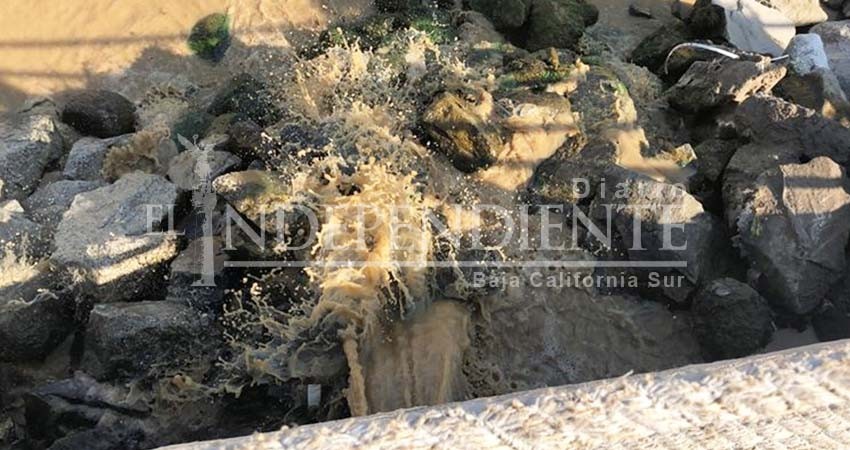 Nuevamente derrame de aguas turbias en la marina turística de CSL Nuevamente derrame de aguas turbias en la marina turística de CSL